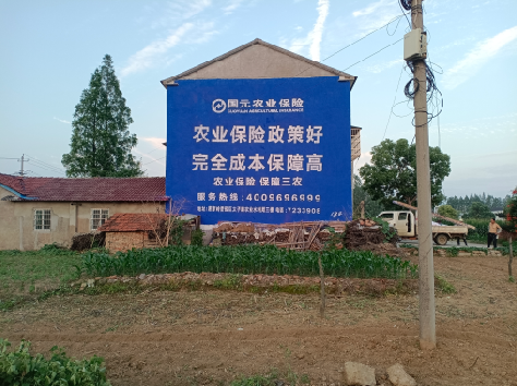 丰城墙体广告为何受追捧?